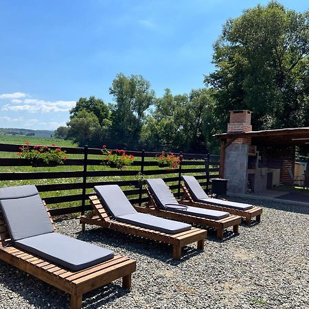 Casa Cu Flori Maramures Baia Mare Eksteriør billede