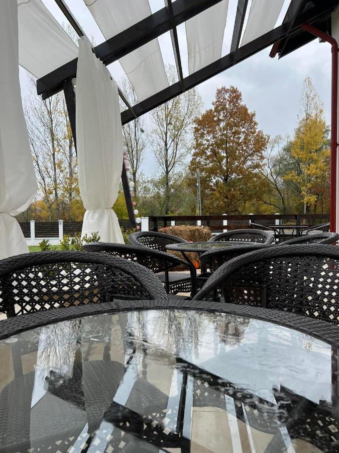 Casa Cu Flori Maramures Baia Mare Eksteriør billede