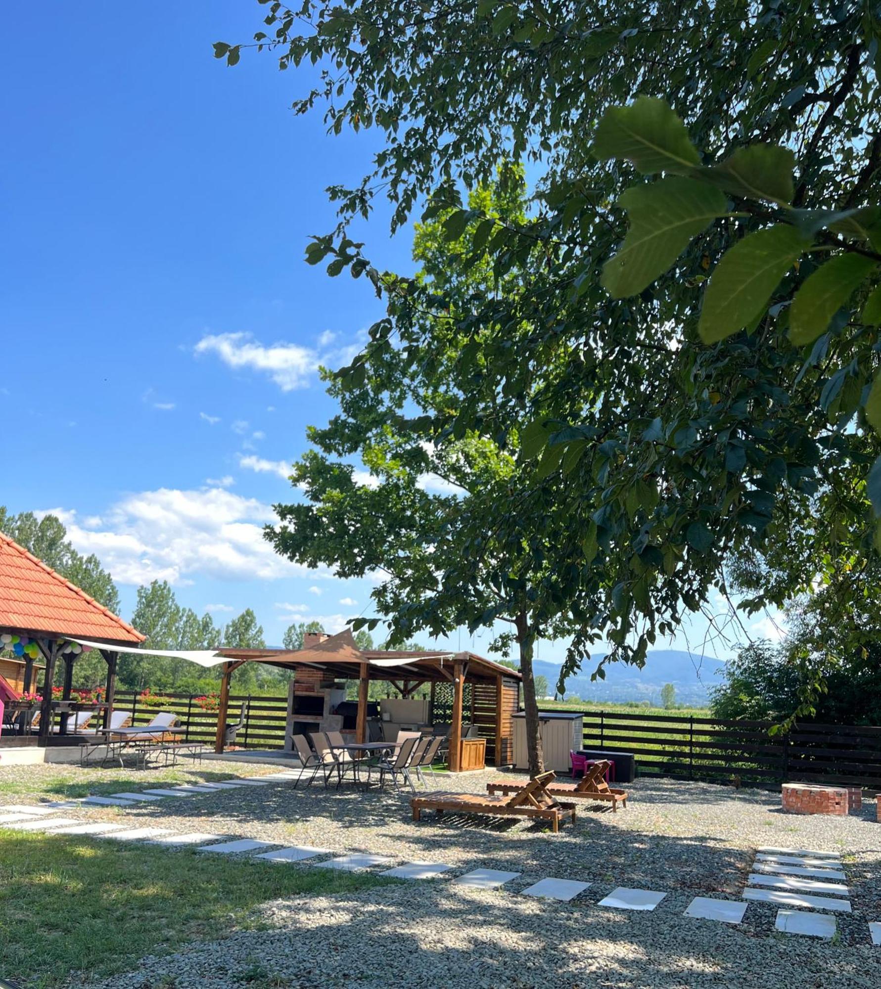 Casa Cu Flori Maramures Baia Mare Eksteriør billede