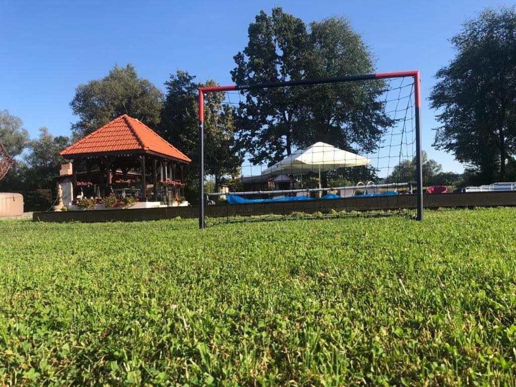 Casa Cu Flori Maramures Baia Mare Eksteriør billede