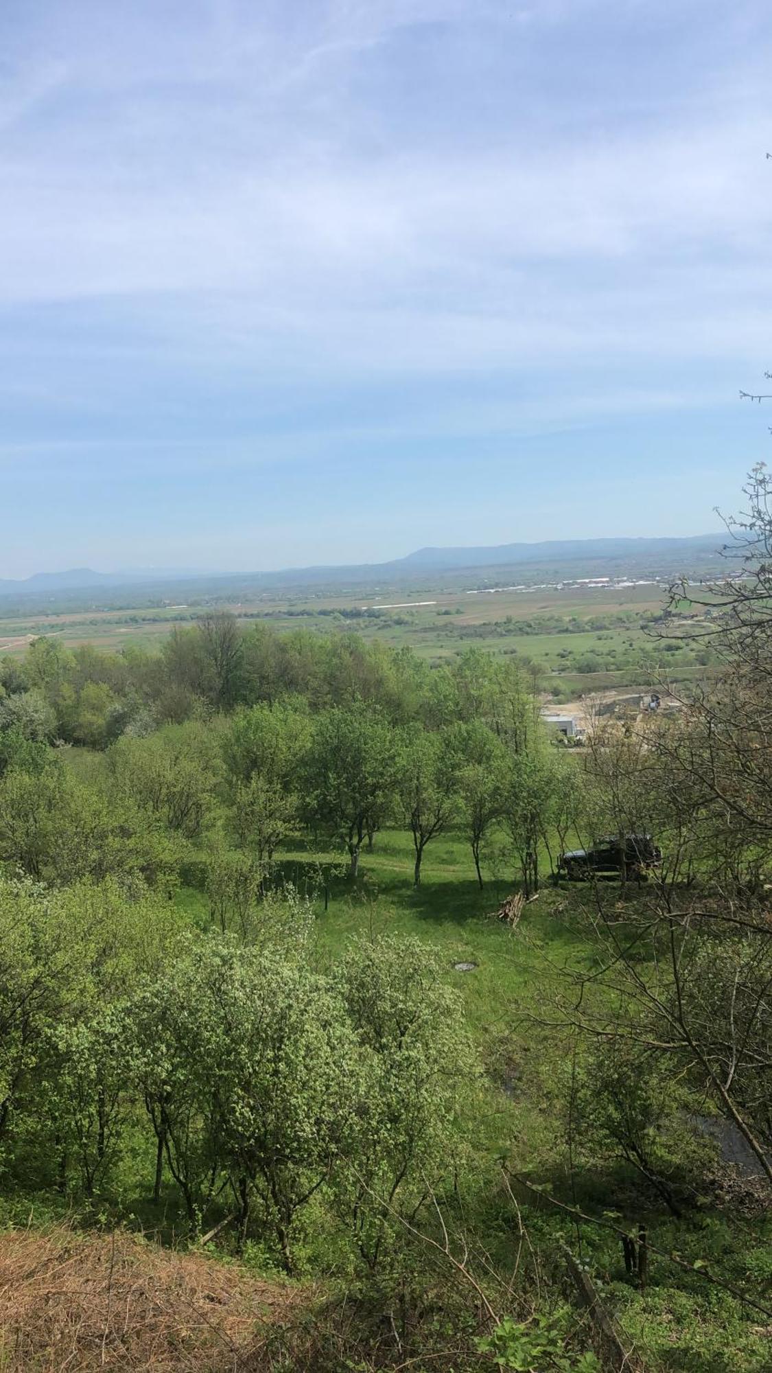 Casa Cu Flori Maramures Baia Mare Eksteriør billede